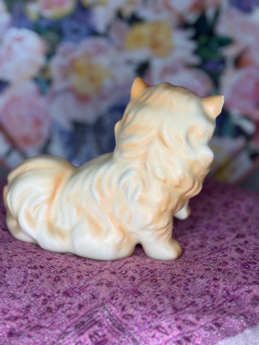 Vintage Persian Cat - Picture 4 of 10